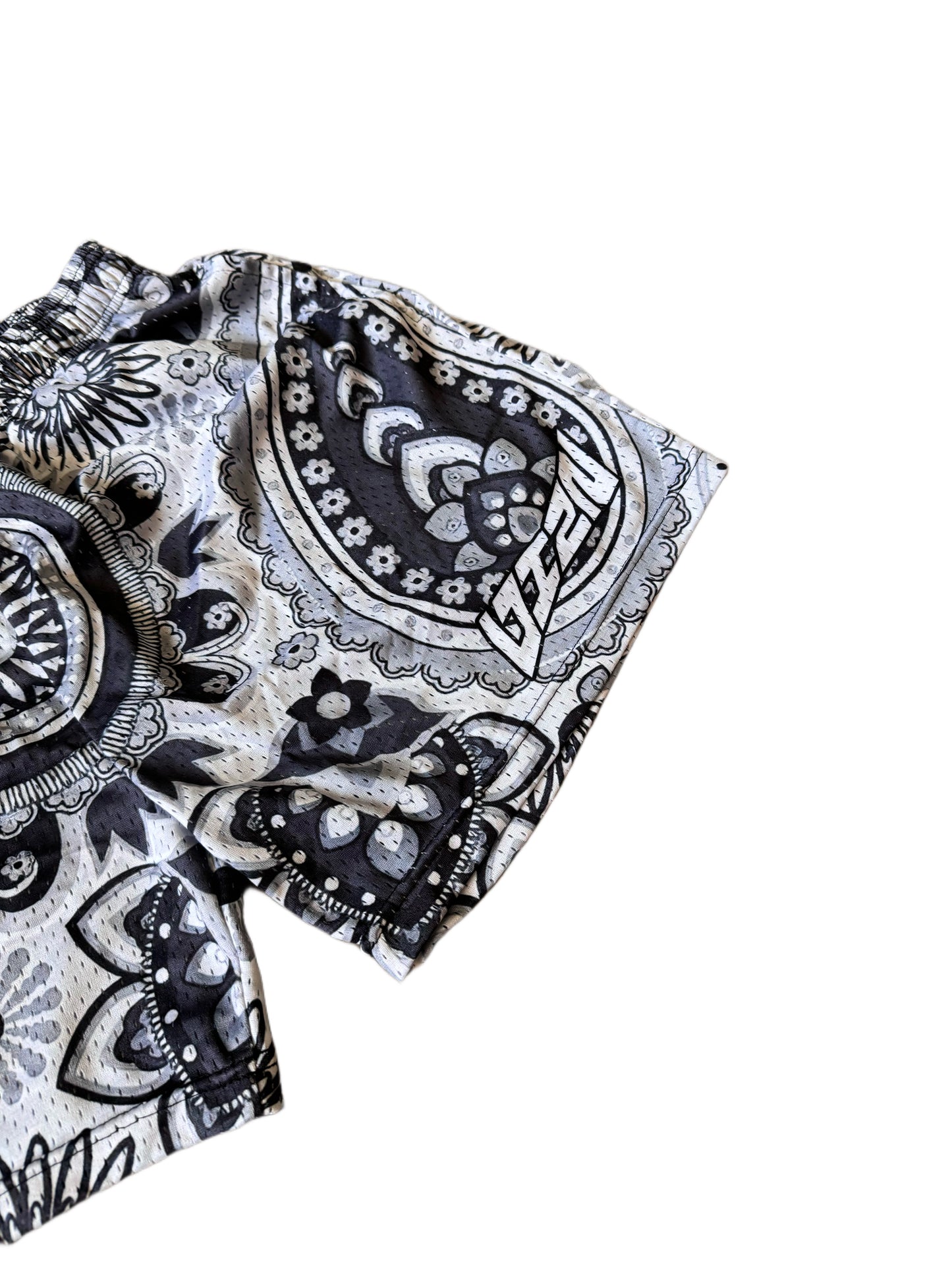 “PAISLEY” VIZN MESH