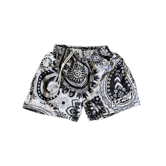 “PAISLEY” VIZN MESH
